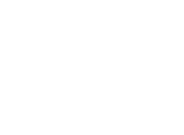 Netspend